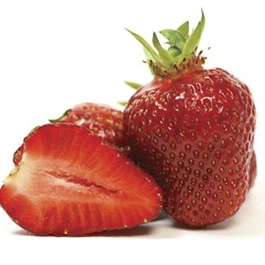 Strawberry Sonata 12 Plants