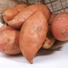 Sweet Potato Beauregard 3 Plants 9cm Pots