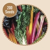 Swiss Chard Bright Lights 200 Seeds