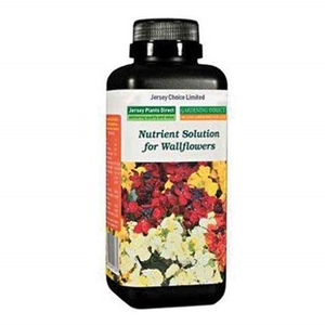 Wallflower Fertiliser 500ml