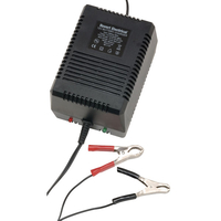 12V 3A SLA Battery Charger