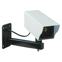 Byron CS11D Dummy Camera Wall-Mounted + LED Light