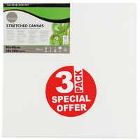 Daler Rowney Simply Canvas Pack of 3 - 40 x 60cm / 16 x 24"