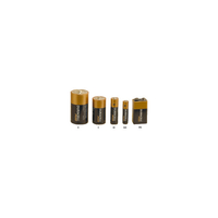 Duracell Plus 5000394019171 MN1300B D Batteries (Pack of 2)