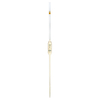 LabGlass Glass Bulb Form Pipette Class 