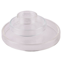 LabGlass Petri Dish,  Borosilicate Glass,  Outer dia 100 x 17mm Height