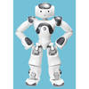 NAO6 Academic Edition Robot with 2 Year Warranty
