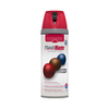 PlastiKote 440.0022106.076 22106 Colour Twist & Spray Satin Real R...