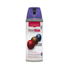 PlastiKote 440.0022116.076 Colour Twist & Spray Satin Sumptuous Pu...