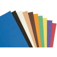 Rapid Assorted Coloured Wonderfoam - Pack of 10