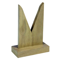 RVFM - Lens Holder - 80mm Diameter