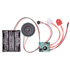 RVFM 20 Second Recording Module