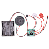 RVFM 20 Second Recording Module