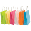 RVFM Coloured Paper Bags 24x18x8cm Pack of 36