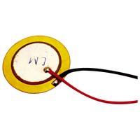 RVFM Ft-20t-6a1 Uncased Piezo Transducer