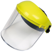Worksafe SSP10E/R Replacement Visor for SSP10E