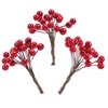 Artificial Red Berries (Pack of 100) Natural Craft Materials,  Decorations,  Collages & Displays,  Plastic