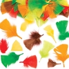 Autumn Craft Feathers (Pack of 120) Natural Craft Materials 6 colours - green,  red,  mustard,  orange,  brown,  dark green