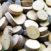 Circular Branch Offcuts (Per Pack) Natural Craft Materials,  Approx 25 Pieces Per Pack,  Size Approx 3cm-5cm, 