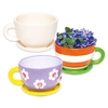 Cup & Saucer Ceramic Planters (Box of 2) Nature Craft Kits