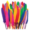 Mini Coloured Quill Feathers (Pack of 80) Natural Craft Materials Assorted colours