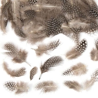 Natural Feathers (Pack of 120) Natural Craft Materials Assorted natural colours