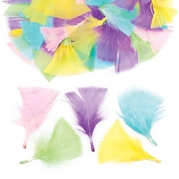 Pastel Craft Feathers (Pack of 120) Natural Craft Materials 5 assorted pastel colours - Green,  Blue,  Yellow,  Pink & Purple