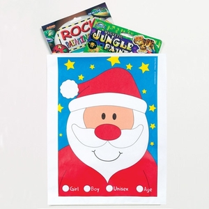 Santa Gift Bags (Pack of 100)