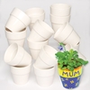 Small Flower Pots - Bulk Pack of 30 Mini White Porcelain Flowerpots to decorate. 70mm high.