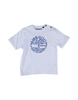 TIMBERLAND TOPWEAR Short sleeve t-shirts BOYS on YOOX.COM