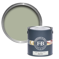 Farrow & Ball Vert de Terre 5 L Dead Flat No. 234