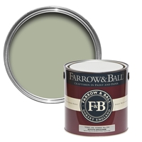 Farrow & Ball Vert de Terre 5 L Limewash No. 234