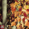 Acer capillipes