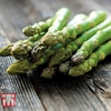 Asparagus officinalis 