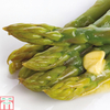 Asparagus officinalis 