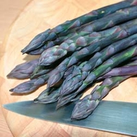 Asparagus officinalis 