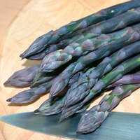 Asparagus officinalis 