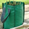 Asparagus officinalis 