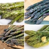 Asparagus officinalis 