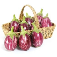 Aubergine Calliope F1 Hybrid - 1 packet (10 seeds)