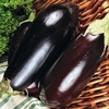 Aubergine 