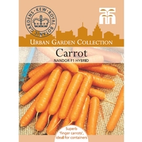 Carrot 