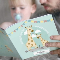 Big Brother Story Book