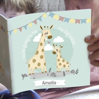 Big Sister Story Book