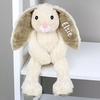 Bunny Soft Toy