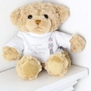 Fabulous Page Boy Message Bear