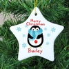 Felt Stitch Penguin Ceramic Star Decoration