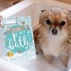 Puppy Cards: For Milestone Moments