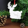Reindeer Name Only Tree Decoration
