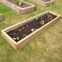 Forest Caledonian Long Raised Bed 1
